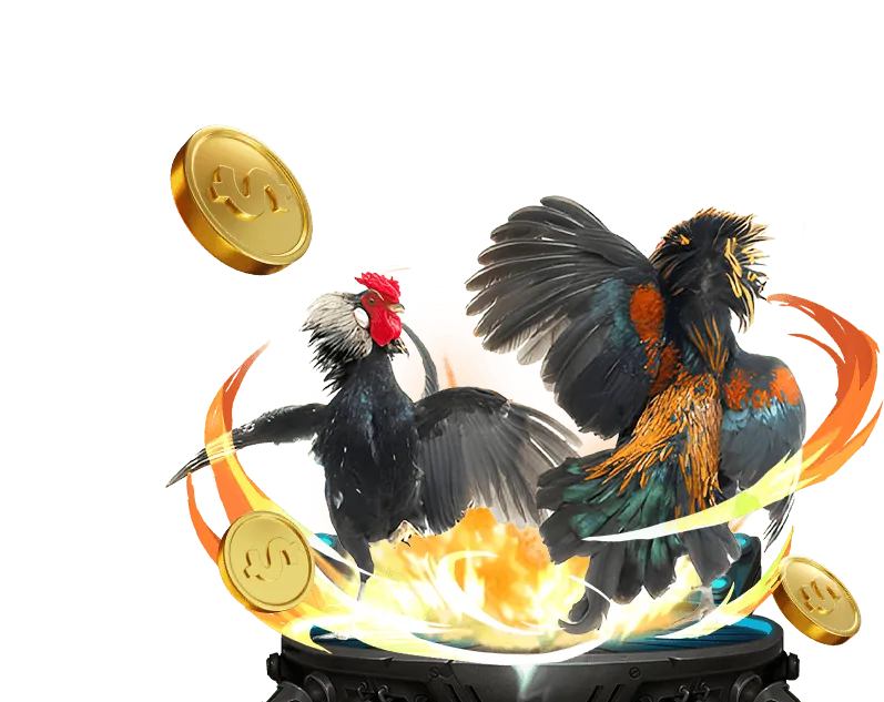 Cá cược an toàn và có trách nhiệm hubet