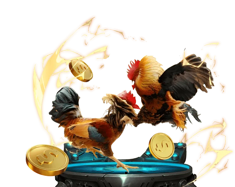 Hướng dẫn cá cược thể thao hubet